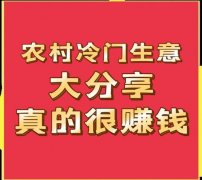 持续进修和顺应市场变化连结盈利的环节要素之